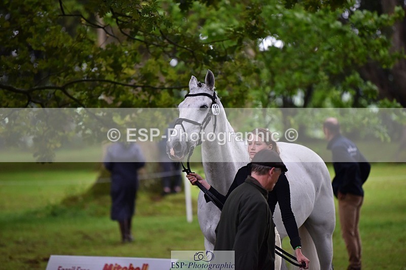 240522-161526-00815 - 163-BRECHFA_BARUCH-Harriet_Beeby_Wynn