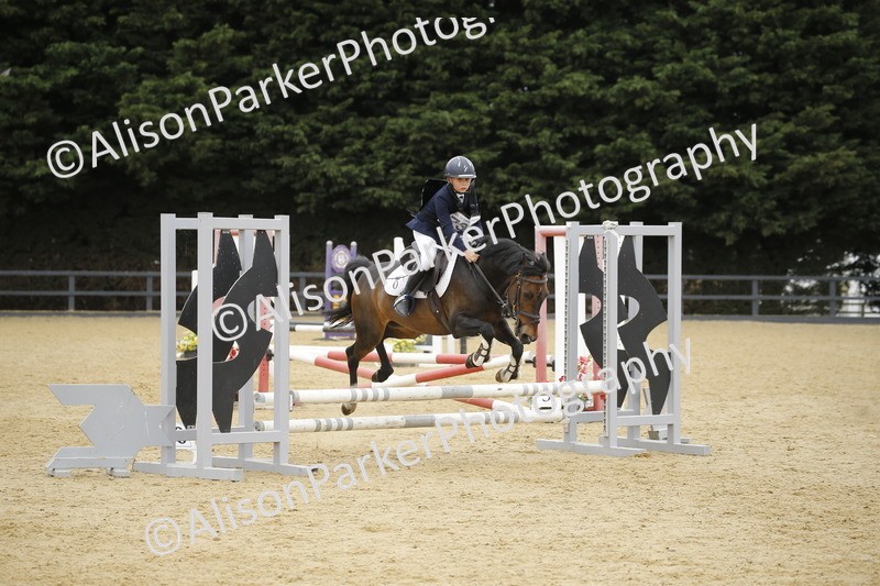 20250622-6164 - 60cm