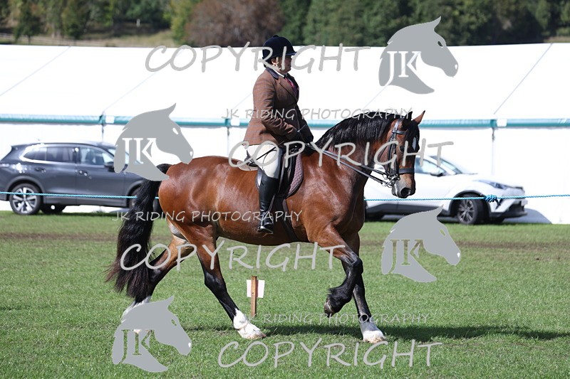 APP_3511 - Class 12 M&M ridden