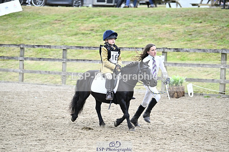 240822X-144111-09196 - 40cm LR R2 13.00 to 15.00