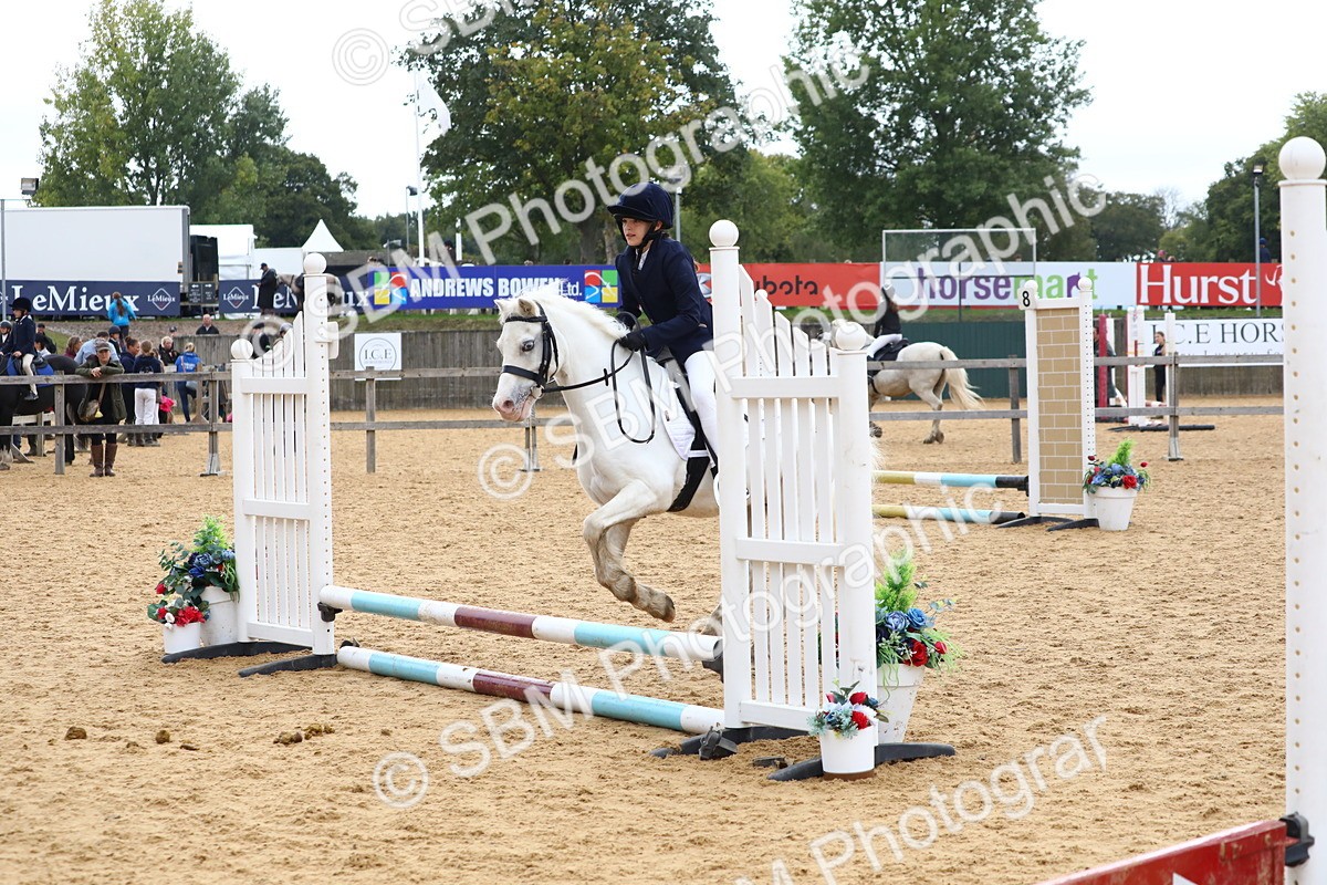 SBM_68115 - J3b - Mini Tour Junior Pony 40cm Championship
