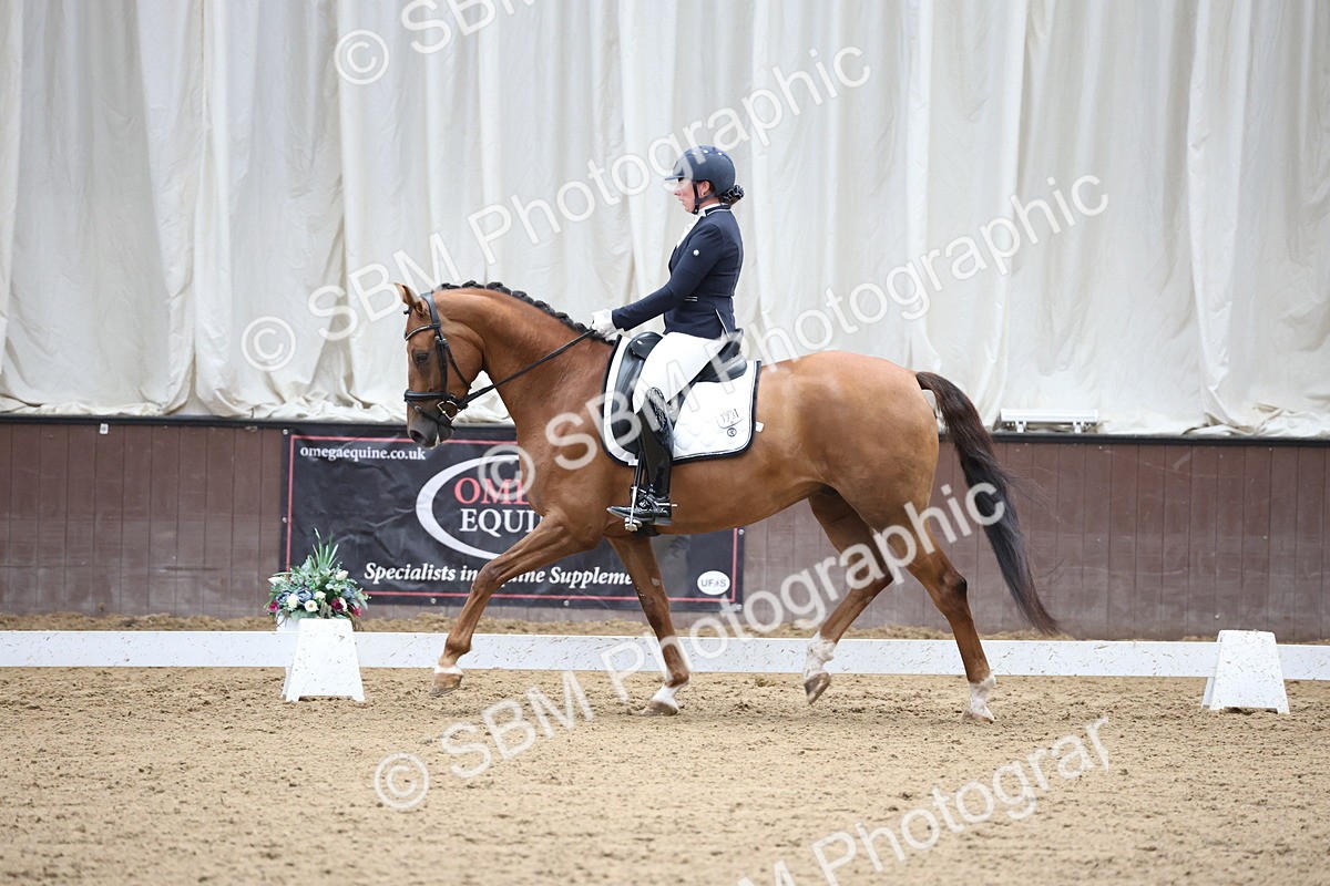 SBM_002887 - Class 5 - Novice 6 Gold - 10.24-11.30