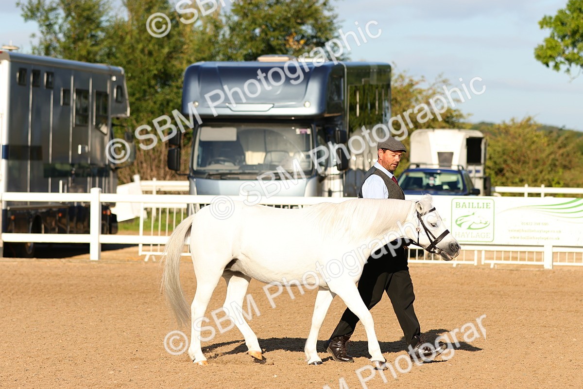 SBM_07985 - Class 201 - Best Turned Out - IH