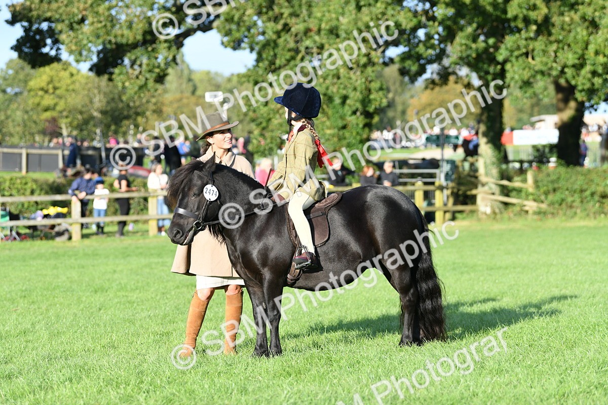SBM_54055 - S23 - 1st Ridden Mountain & Moorland Pony