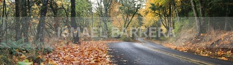 Down the road - Panoramic