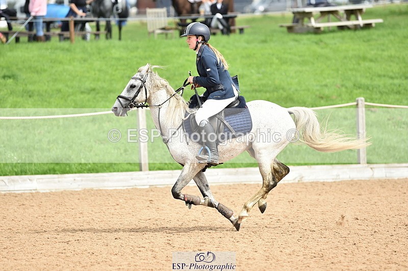 230902A-115612-00880 - Cls 2B Pony Small 80cm