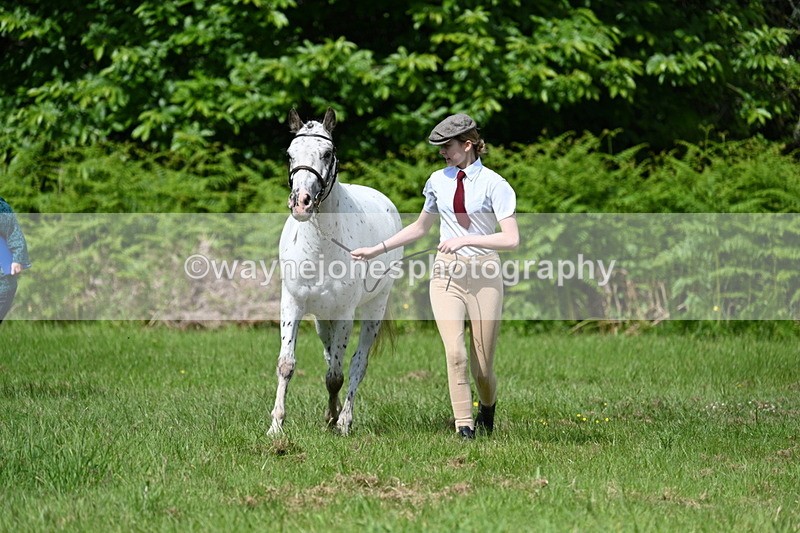 WJ7_1298 - Class 11 Condition & Turnout