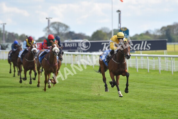 yr12052021r5-21 - Race 5 3.40pm Sky Bet Stakes