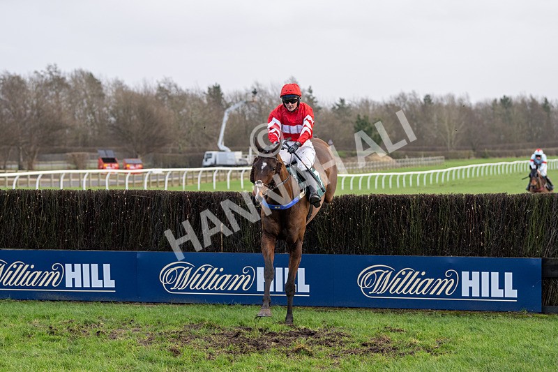 240124-Race 1-Mister Bells-4380 - Race 1