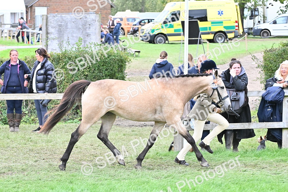 SBM_68521 - S42 - Junior Handler 9-12 Years