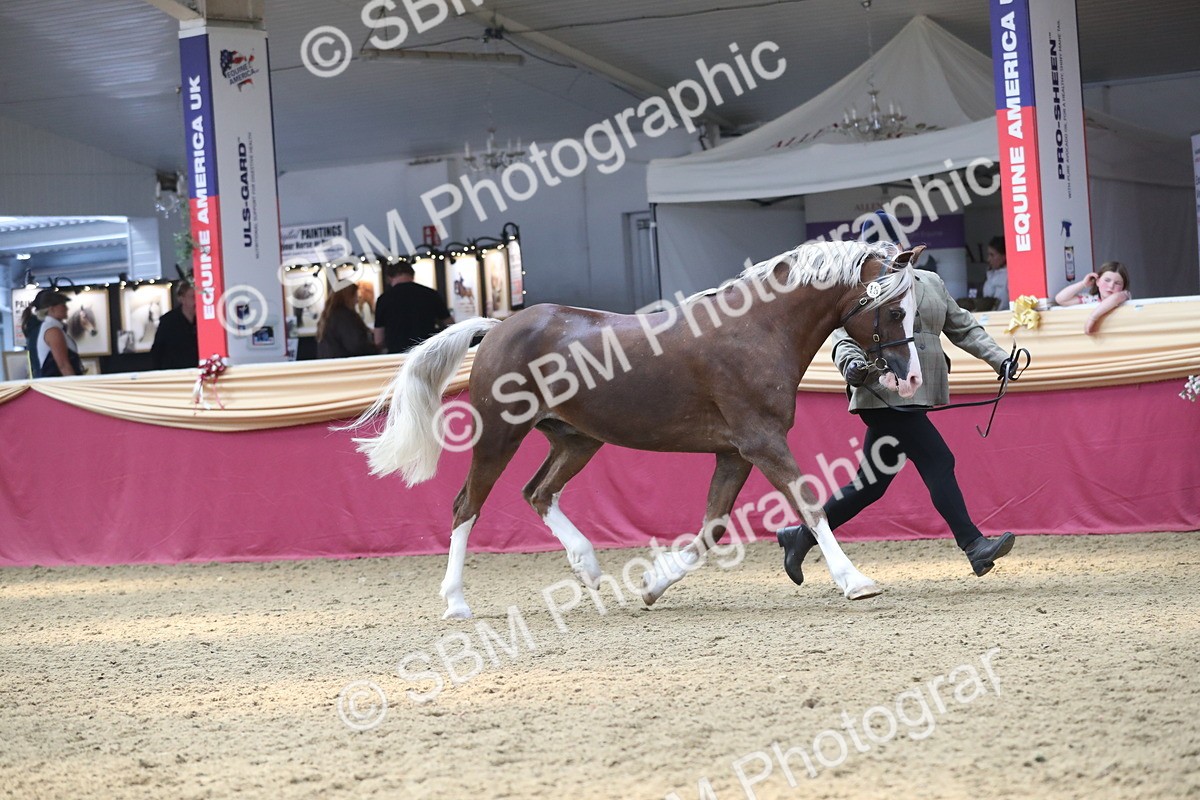 SBM_15127 - Class 501 M&M IH Supreme Final