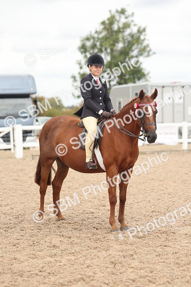 SBM_16034 - Class 311 - Ridden Show pony-Show hunter Pony