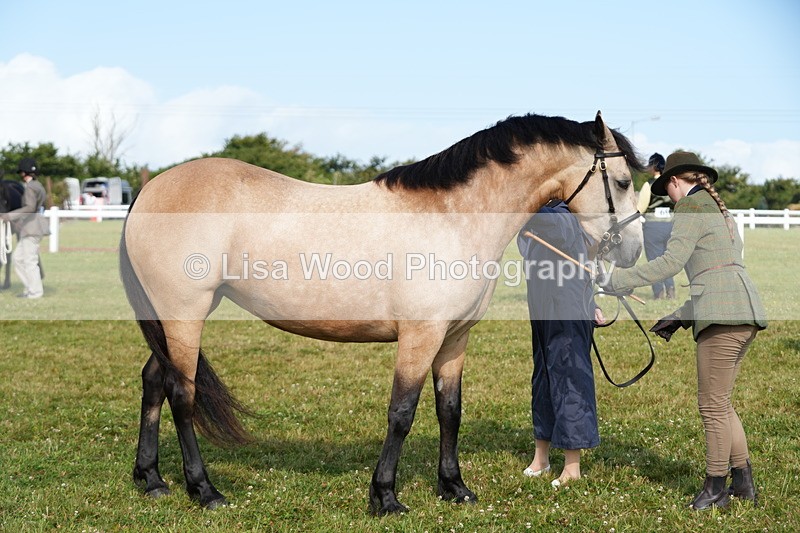DSC05010 - Class 48: NPS M&M 2/3 year olds
