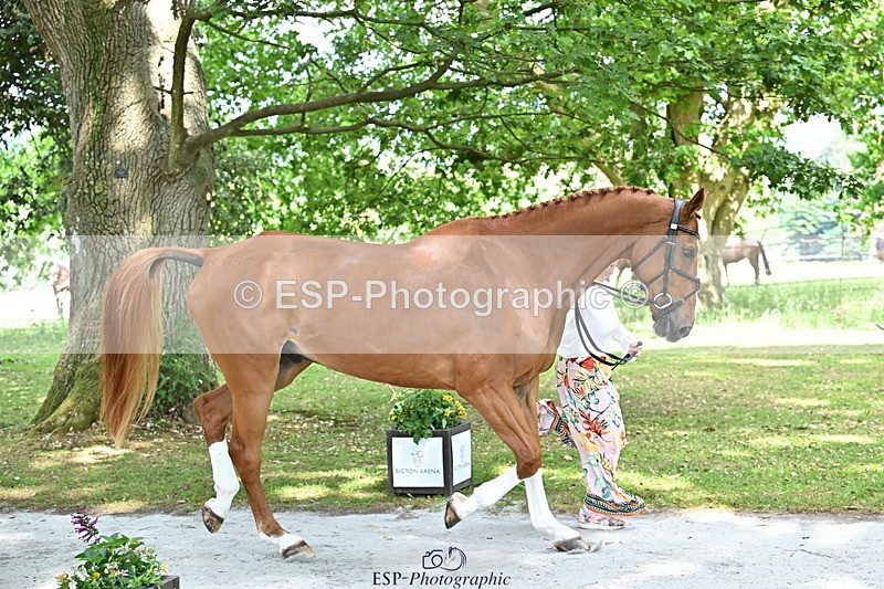 250521A-151640-00395 - B-306-Kat.Raybould-DALOUBET.MANSOLEIN.Z