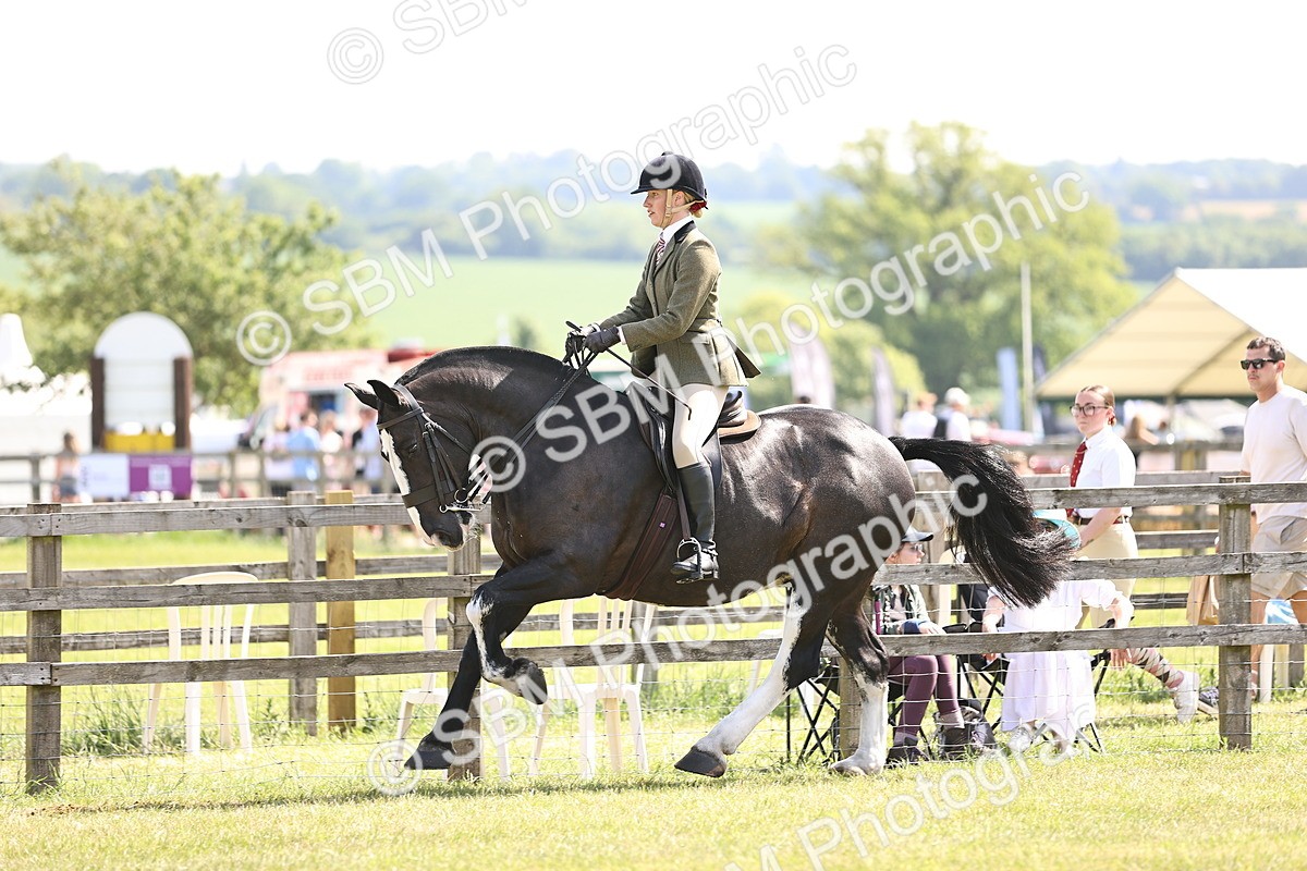 SBM_13731 - Class 77 - LIHS BSHA Rising Star Cobs