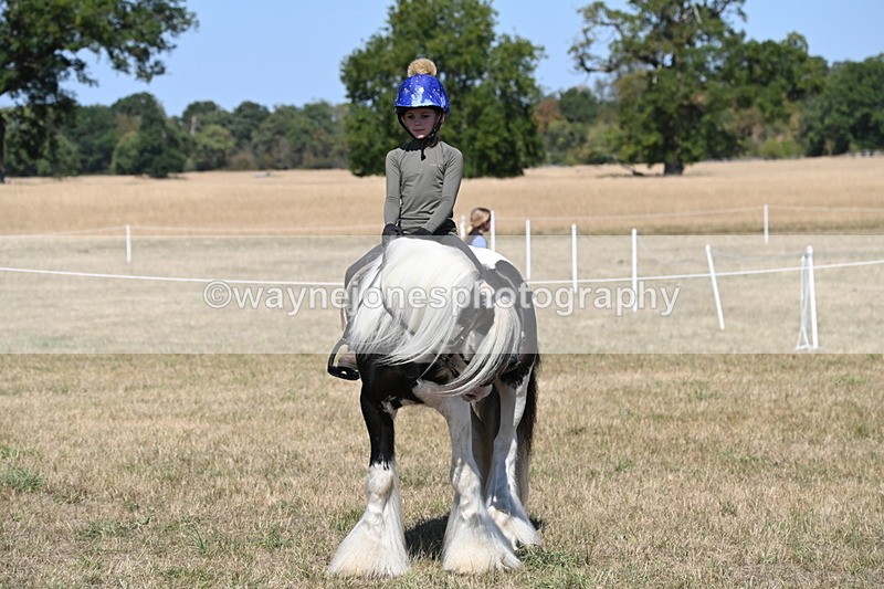 WJ6_9035 - Class 38 Ridden Riding Horse/Pony