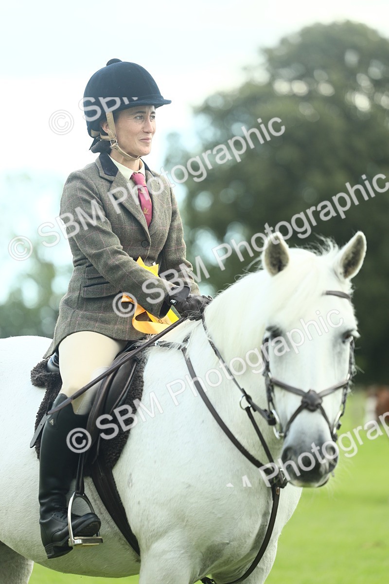 SBM_42198 - S29 - Novice & Newcomers Working Hunter Pony