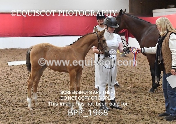 BPP_1968 - AFTERNOON 12.30 - 3.30PM