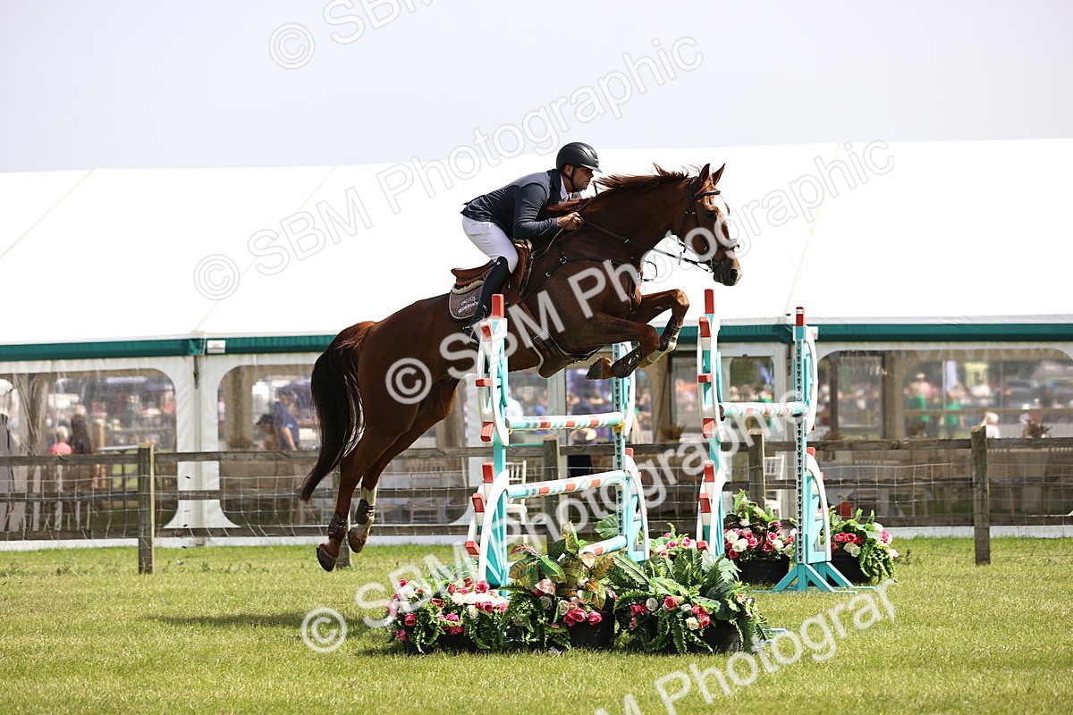 SBM_03298 - Class 201 - British Horse Feedds Speedi Beet HOYS Grade C