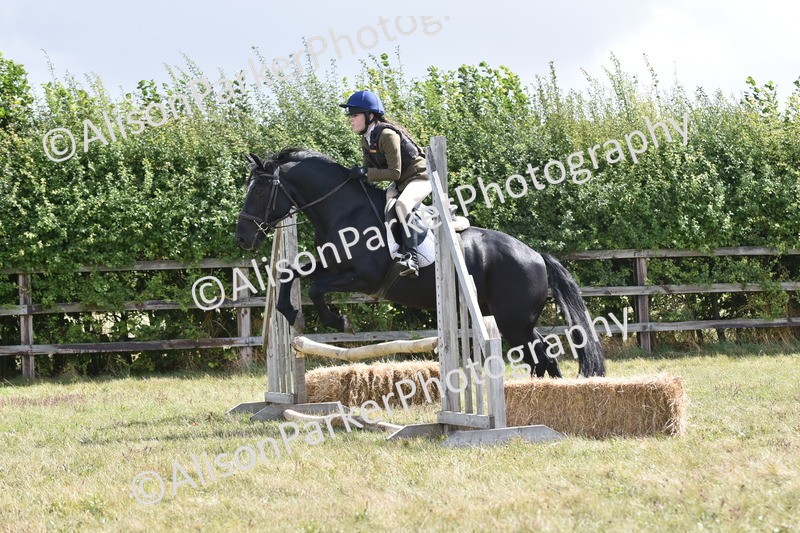 20250831-3978 - Class 12 - Working Hunter Pony 14.2hh and Under