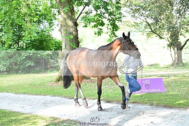 250521A-163551-01231 - C-225-Molly.Adams-QUINARA