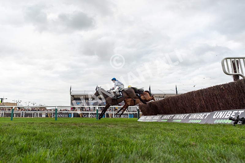 161125-Race 4-Protektorat-3047 - Race 4