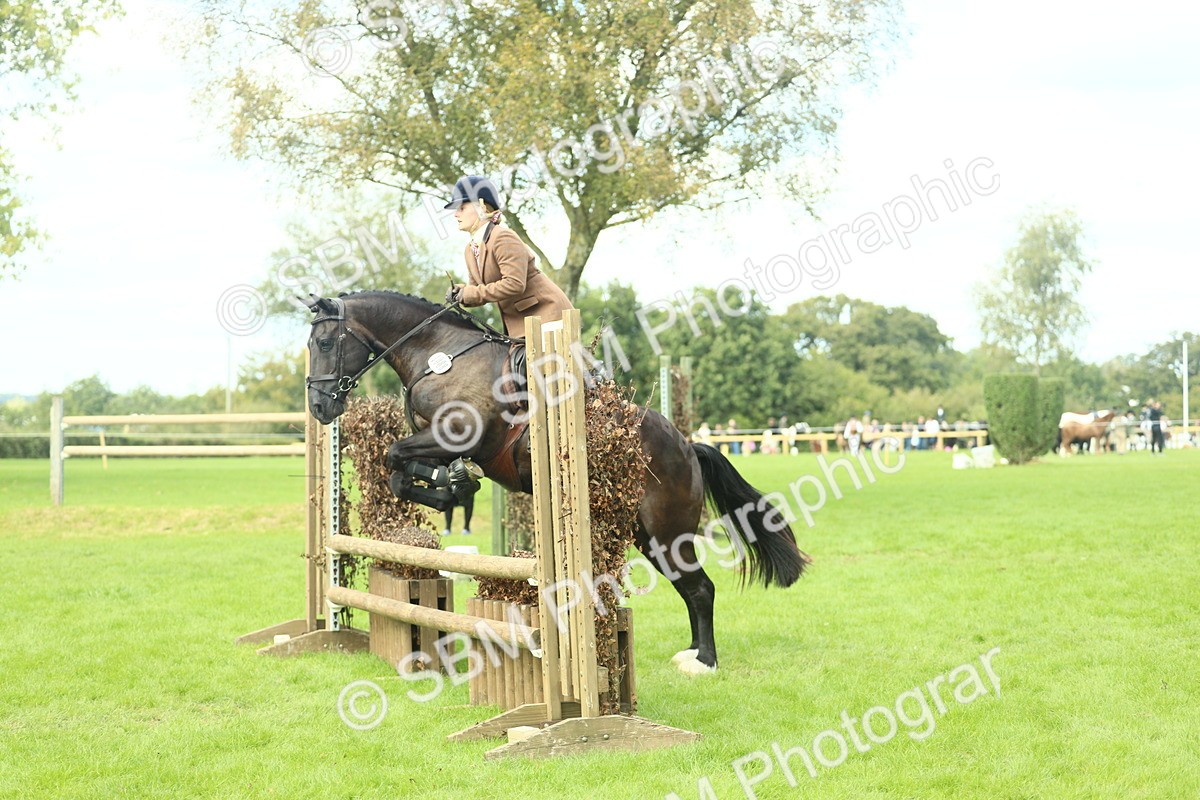 SBM_44776 - S31 - Working Hunter Pony