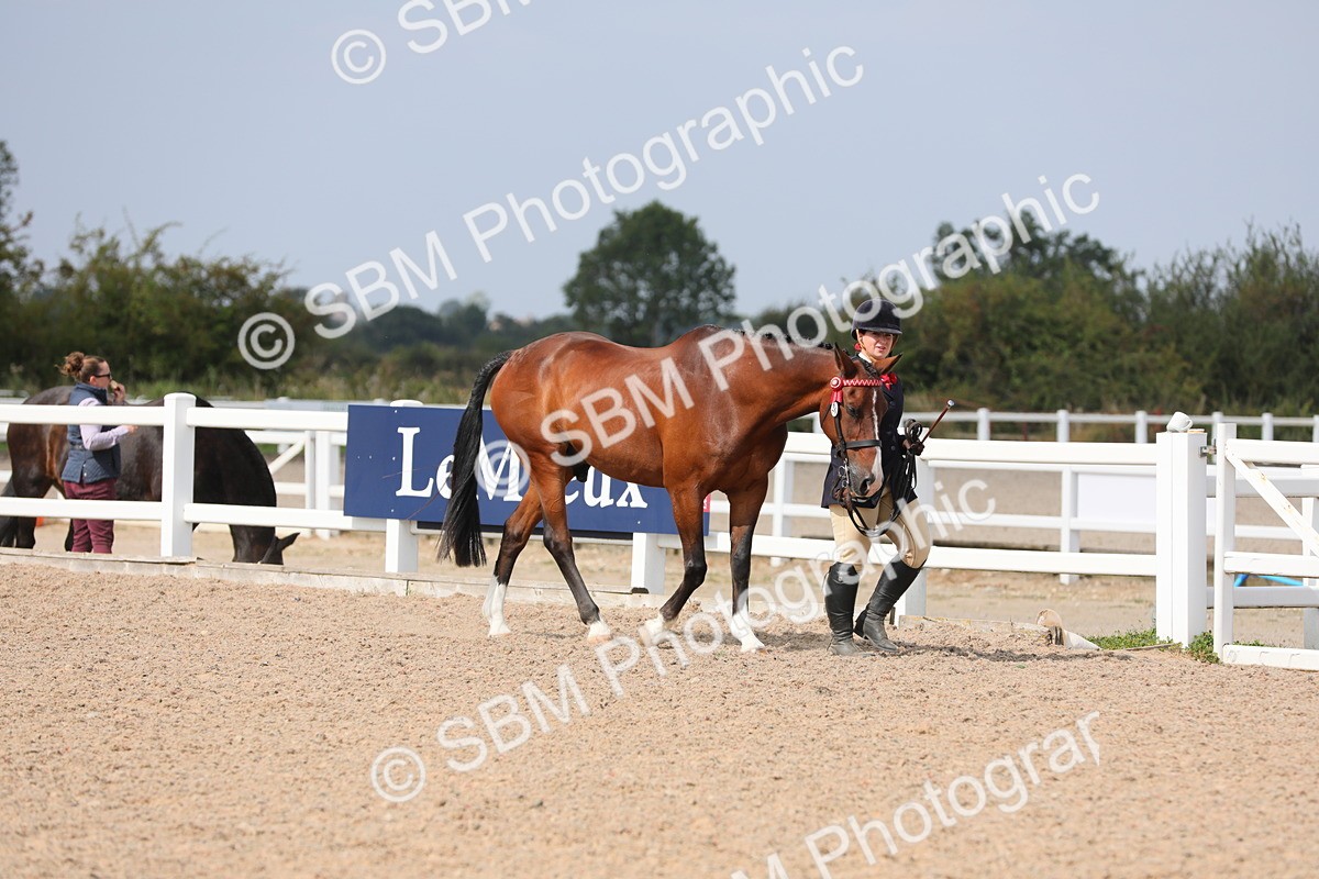 SBM_15653 - Class 312 IH Competition Horse/Pony