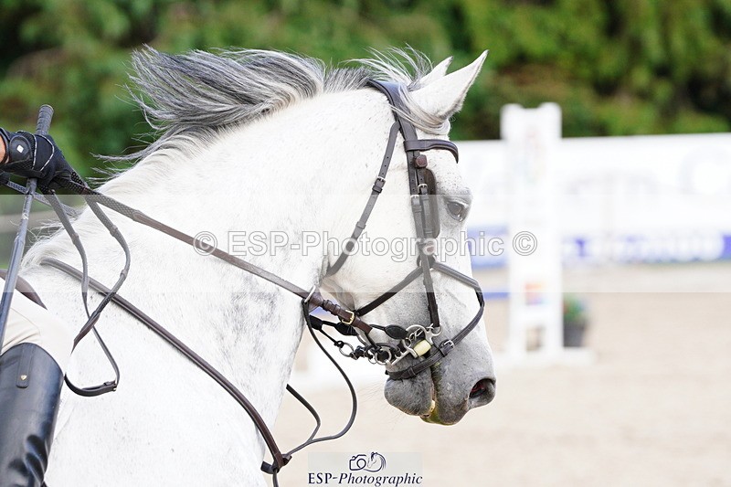 250615A-170212-12761 - Class 50 Snr Newcomers