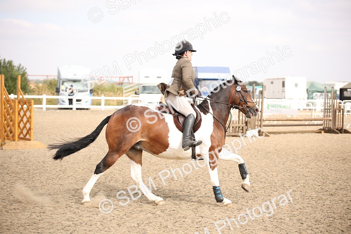 SBM_14959 - Class 408a - Working Veteran 70cm (15-19