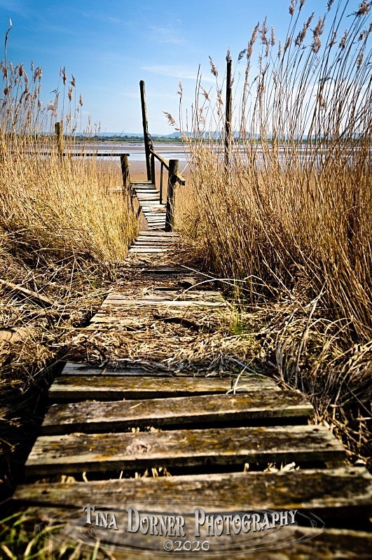 Wooden Jetty on Lydney Shore. by Tina Dorner Photography, Forest of Dean and Wye Valley, Gloucestershire