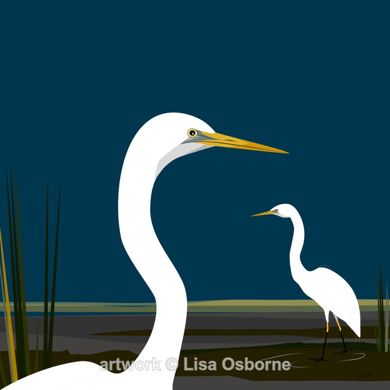 Great egrets - DIGITAL ARTWORK