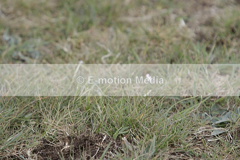 BVHT 140517 I-613 - Class 1 SJ Intermediate 14/05/17