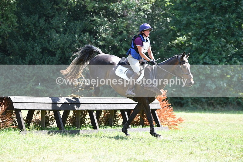 WJ5_3411 - XC Time 13:30 to 14:00