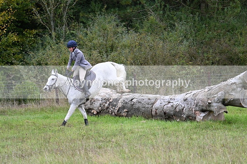 WJ7_3922 - Camera 1 Line 1