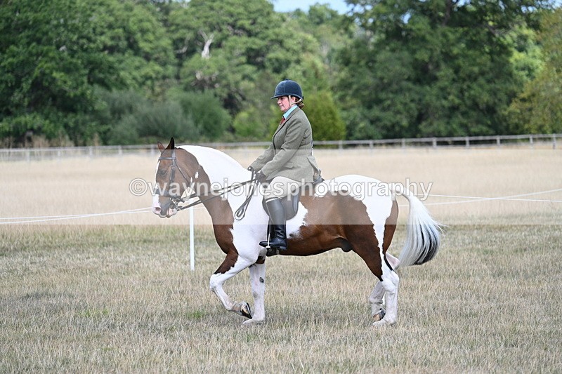 WJ7_7137 - Class 14 Ridden Coloured