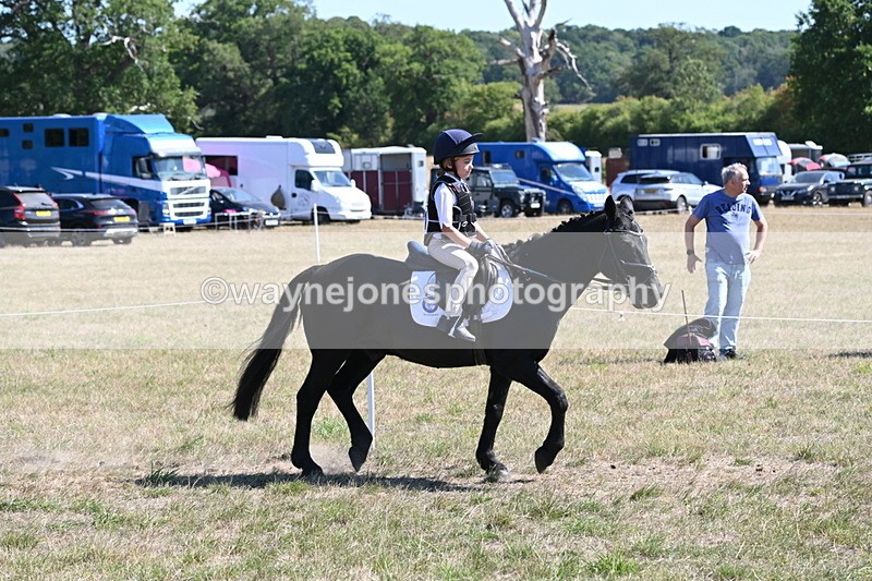 WJ6_8381 - Class 37a Best Loan Pony Ridden