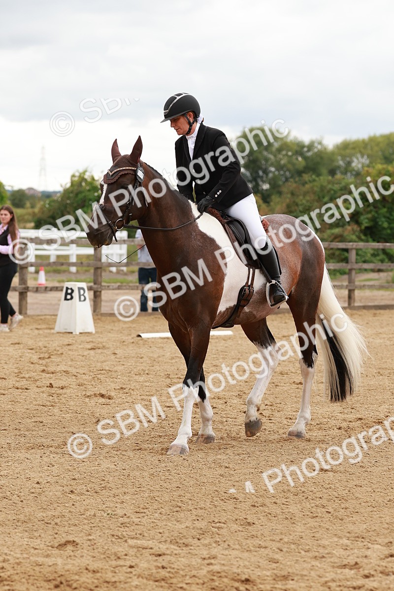 SBM_002773 - Novice 2
