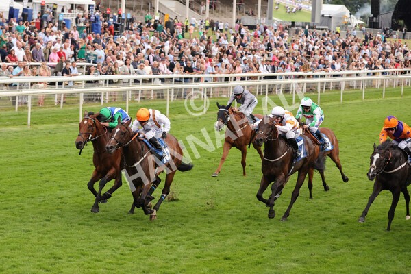 yr23072021r5-17 - Race 5 8.00pm Gallop Racing Stakes