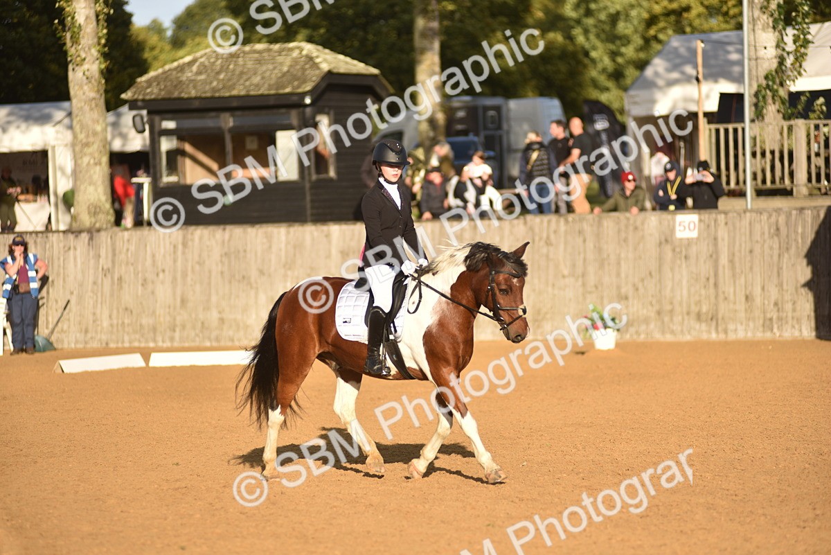 SBM_53387 - D24 - Junior Championship Prelim 3