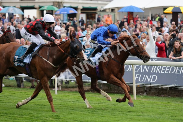 yr22072022r2-28 - Race 2 5.50pm eventmasters.co.uk Stakes