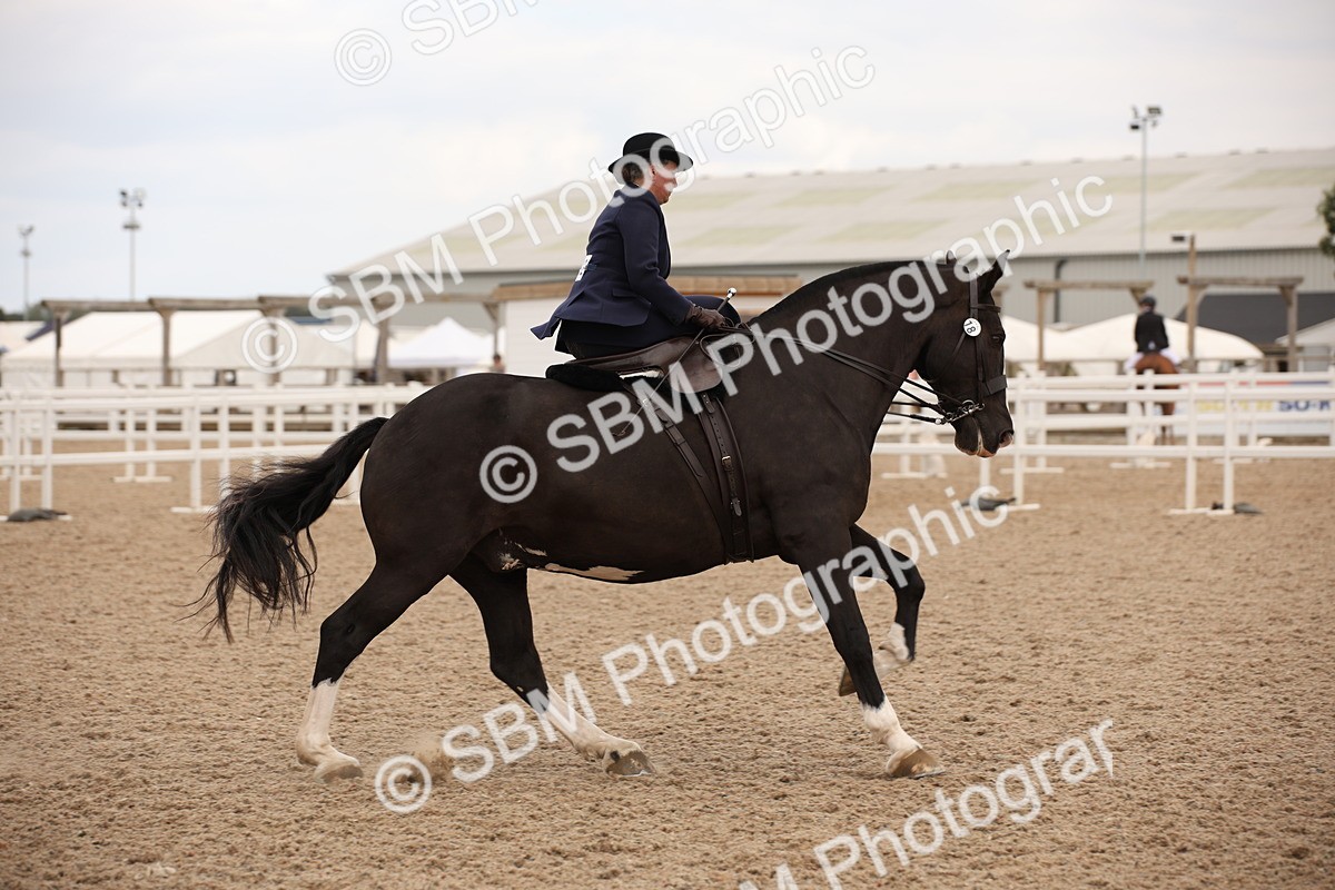 SBM_05467 - Class 22 SSA Equitation