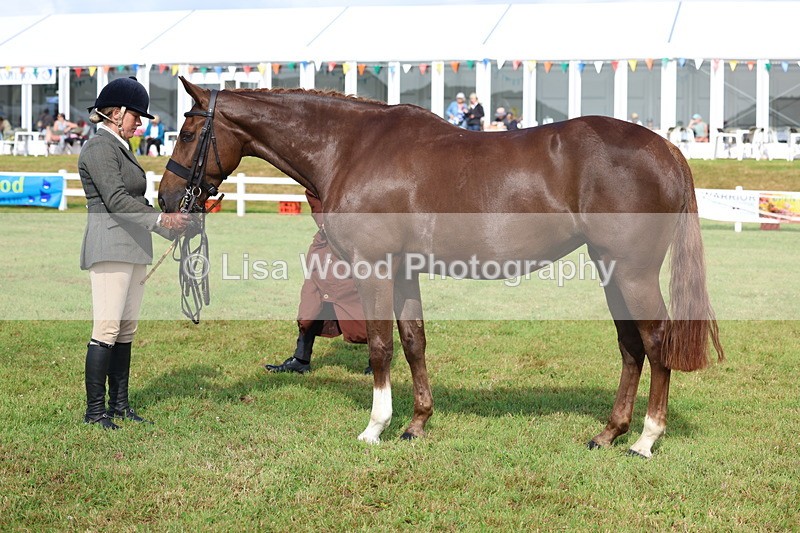 3E7A9030 - Class 3: Rising Star S/L Hunter