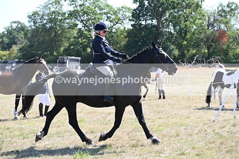 WJ6_8278 - Class 37a Best Loan Pony Ridden