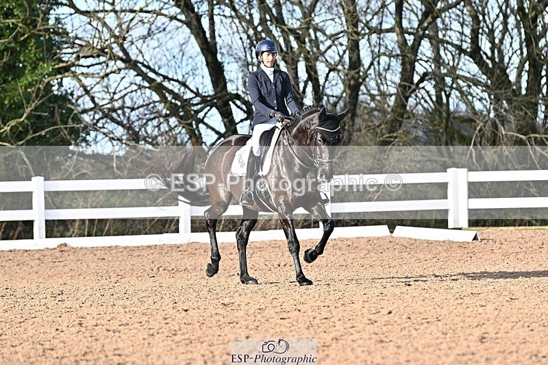 241214-114643-01452 - 151-Elder.Klatzko-Dynasty.Hit