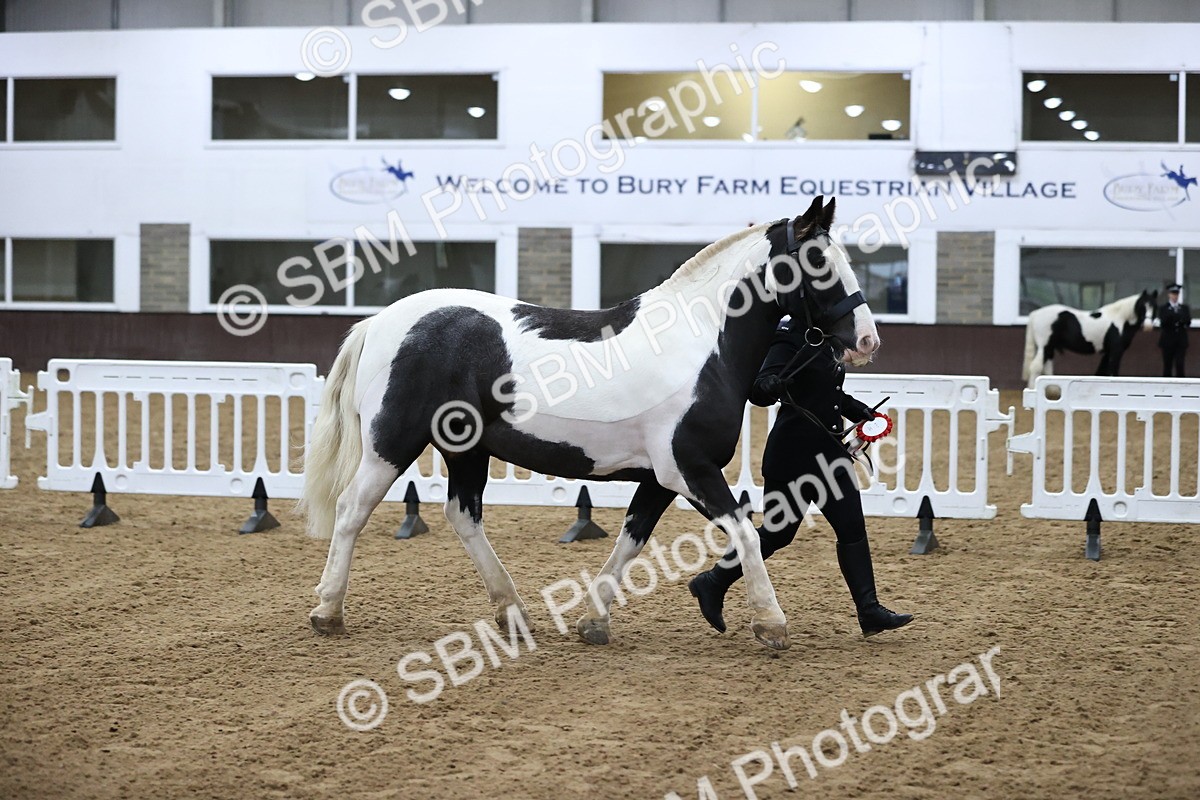 SBM_5337 - Class 32 - In Hand Cob Type