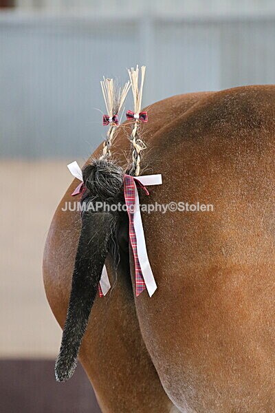 SIAL0273 - Indoor Classes