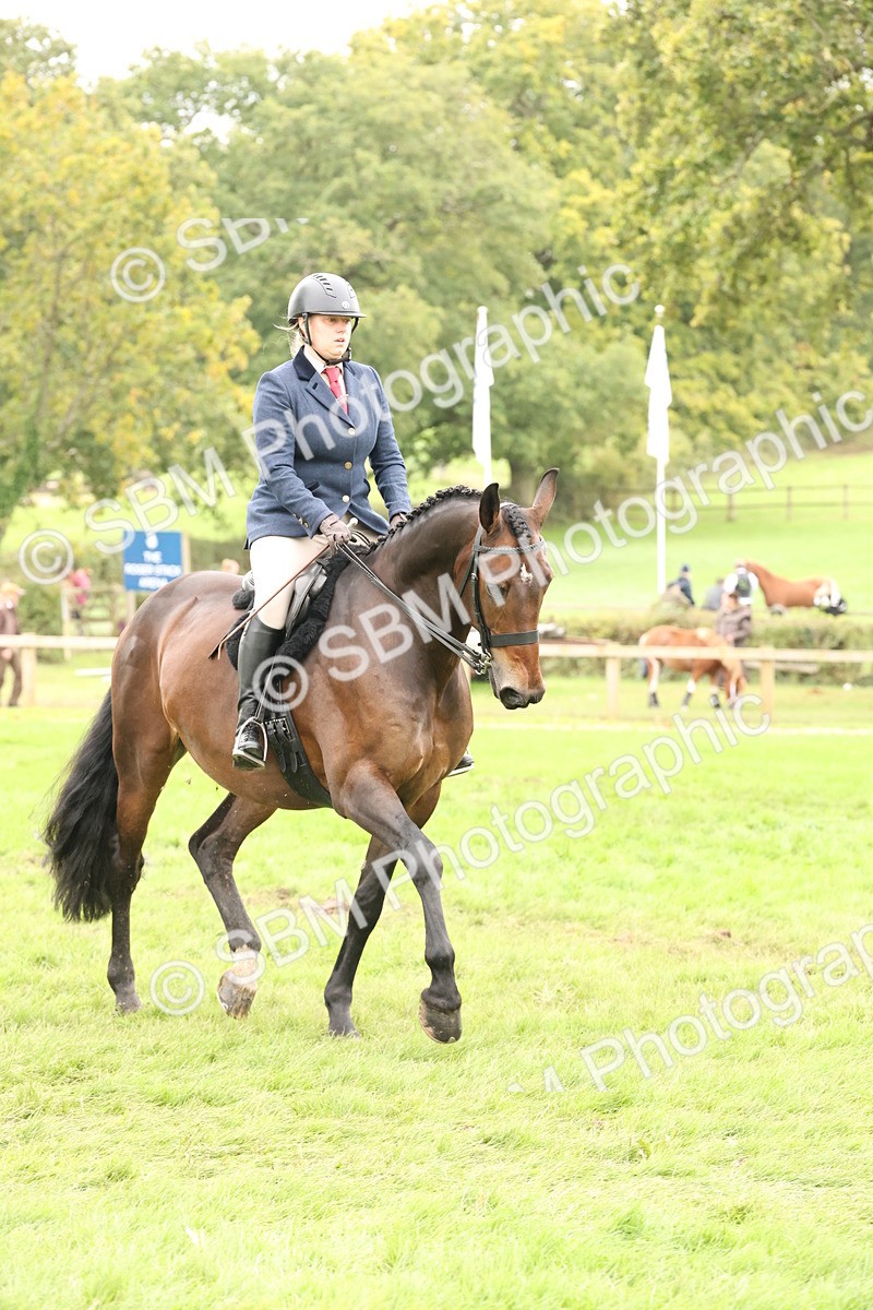 SBM_63025 - S64 - Foreign Breeds Ridden