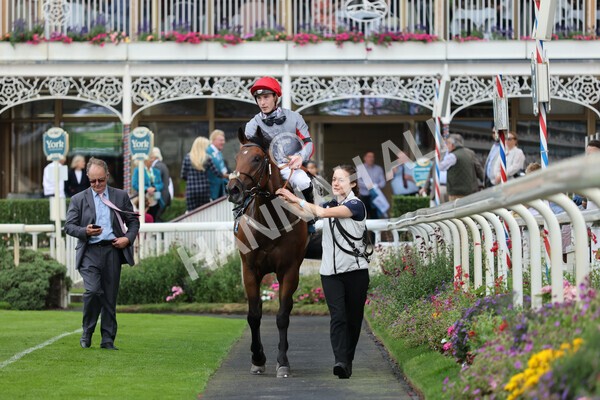 yr04092022r1-41 - Race 1 1.45pm IRE Incentive, It Pays To Buy Irish EBF Novice Stakes