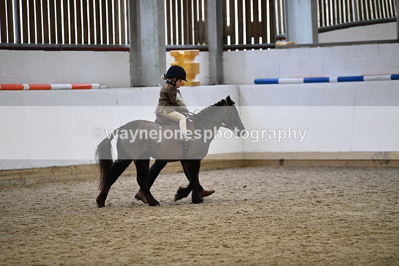 WJ5_6613 - Class 10 Childs Pony